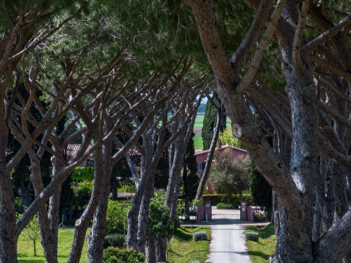 Braccagni Le Versegge Resort المظهر الخارجي الصورة
